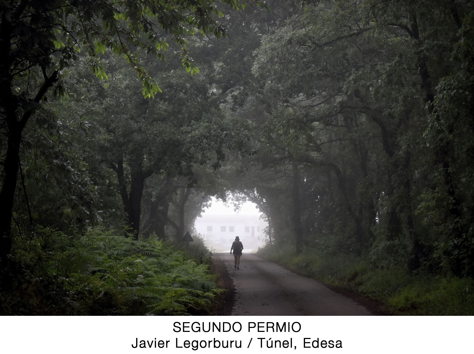 Segundo Premio. Javier Legorburu, Túnel, Edesa