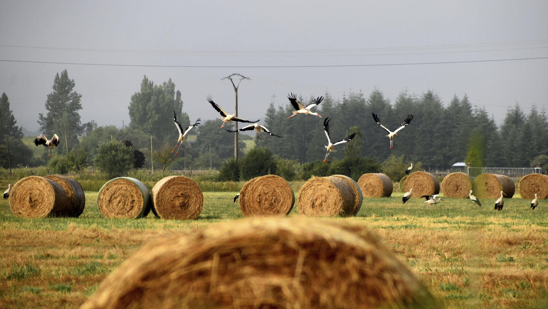 Javier Legorburu, Descansando, Villasante