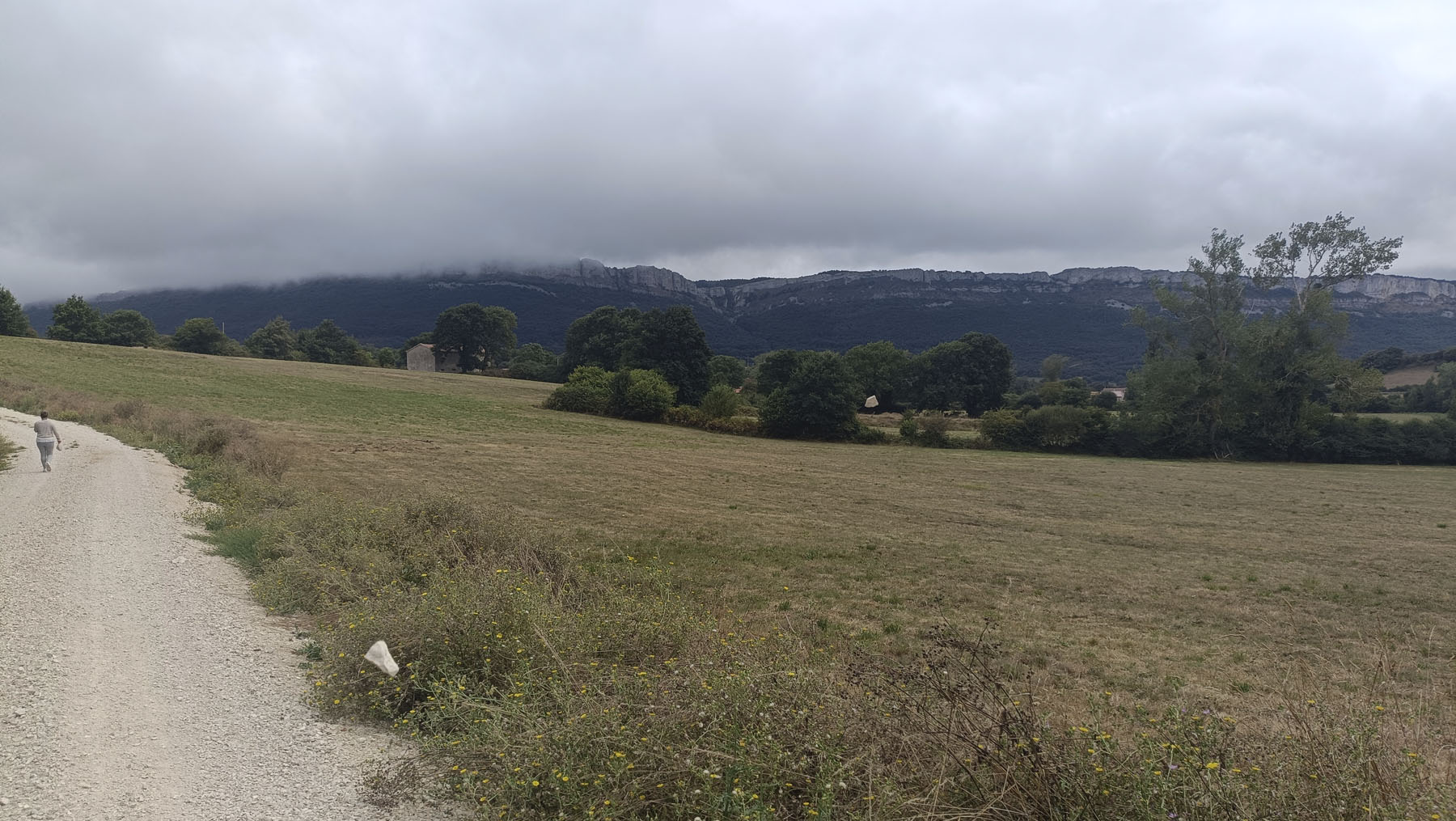 Diego León Montolla, Villasorda