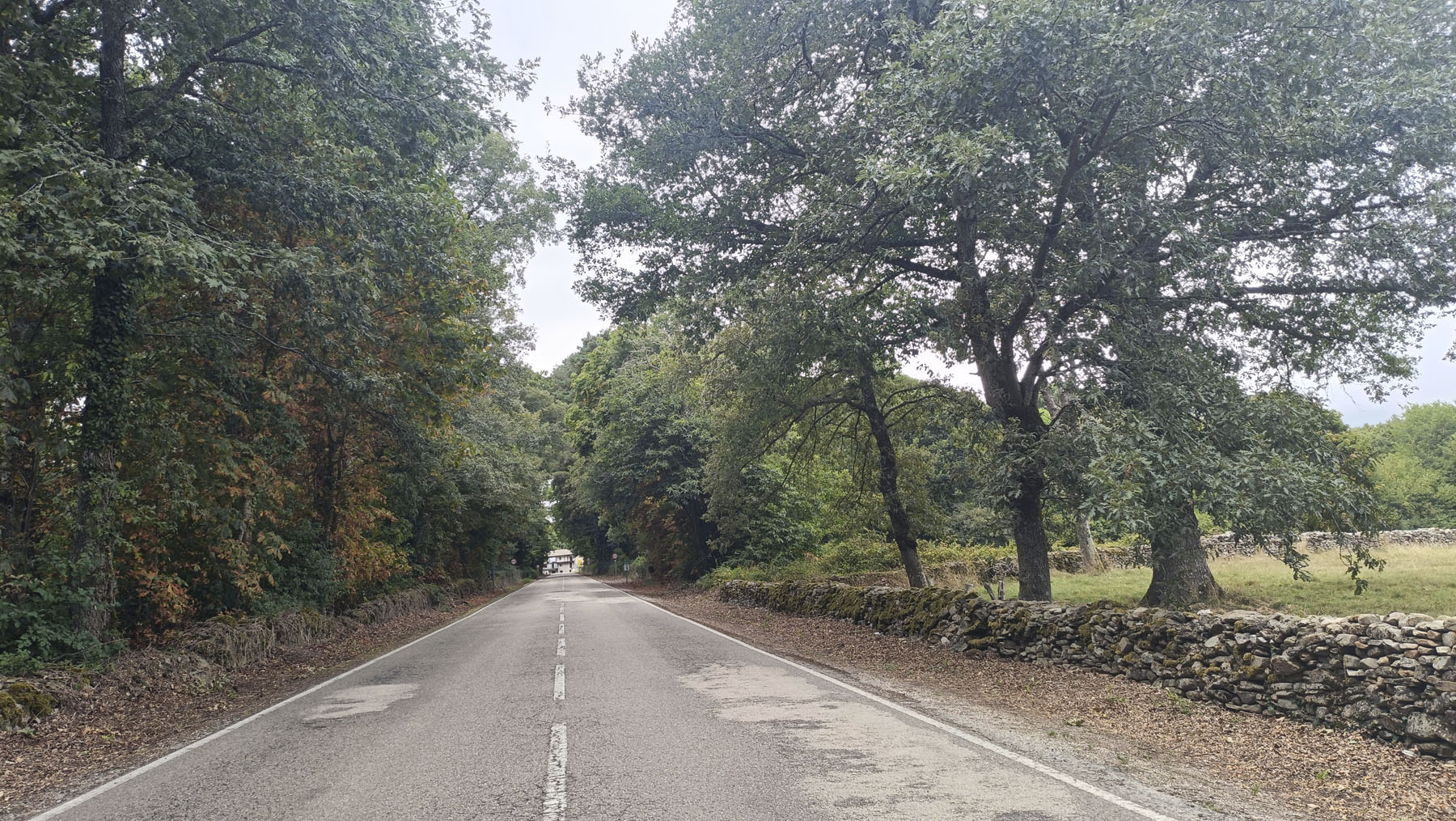 Diego León Montolla, Villasorda