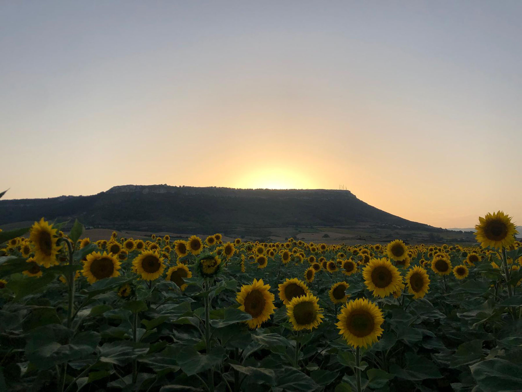Ibón García Montolla, Noceco