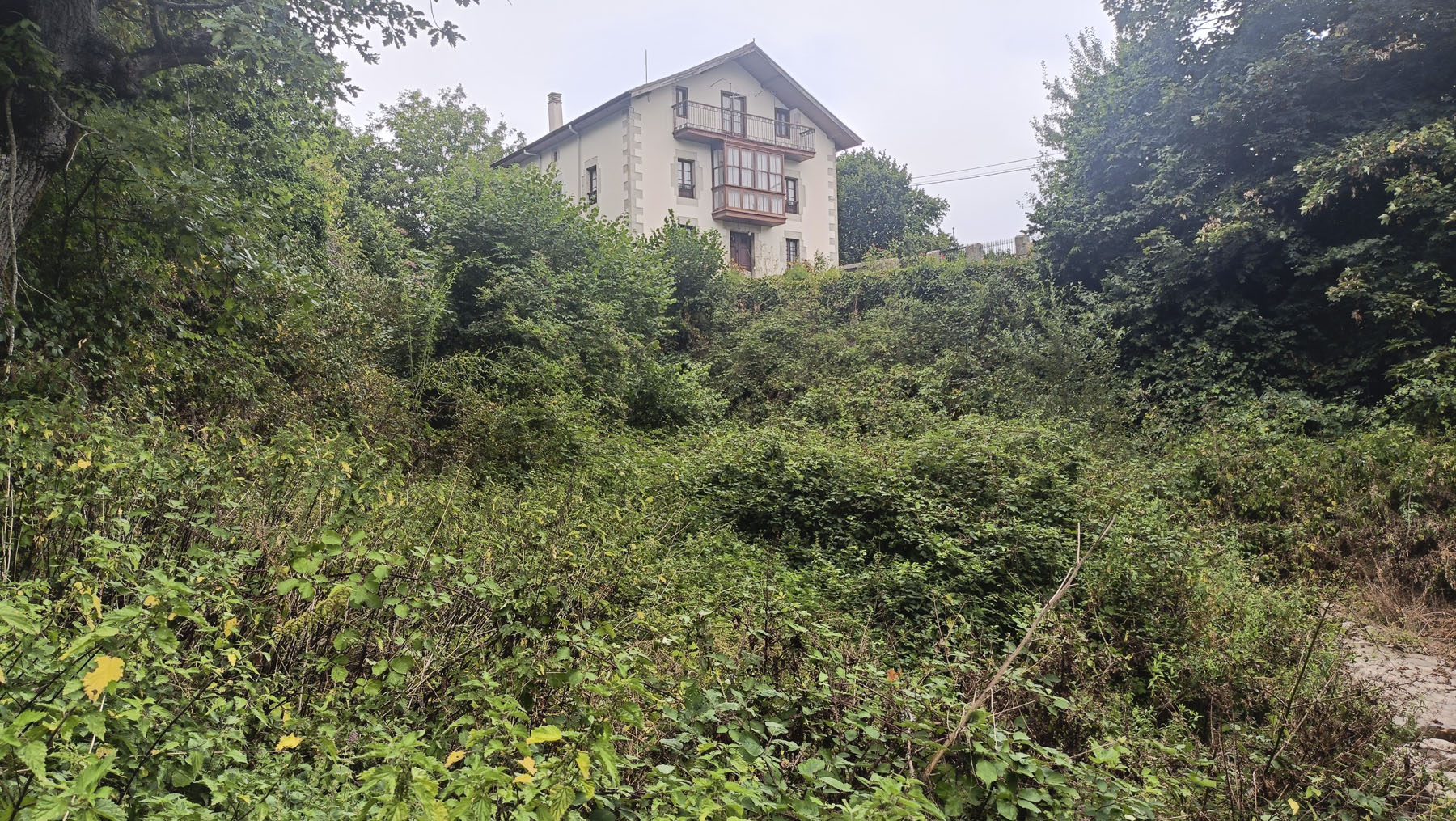 María García Montoya, Noceco de montija