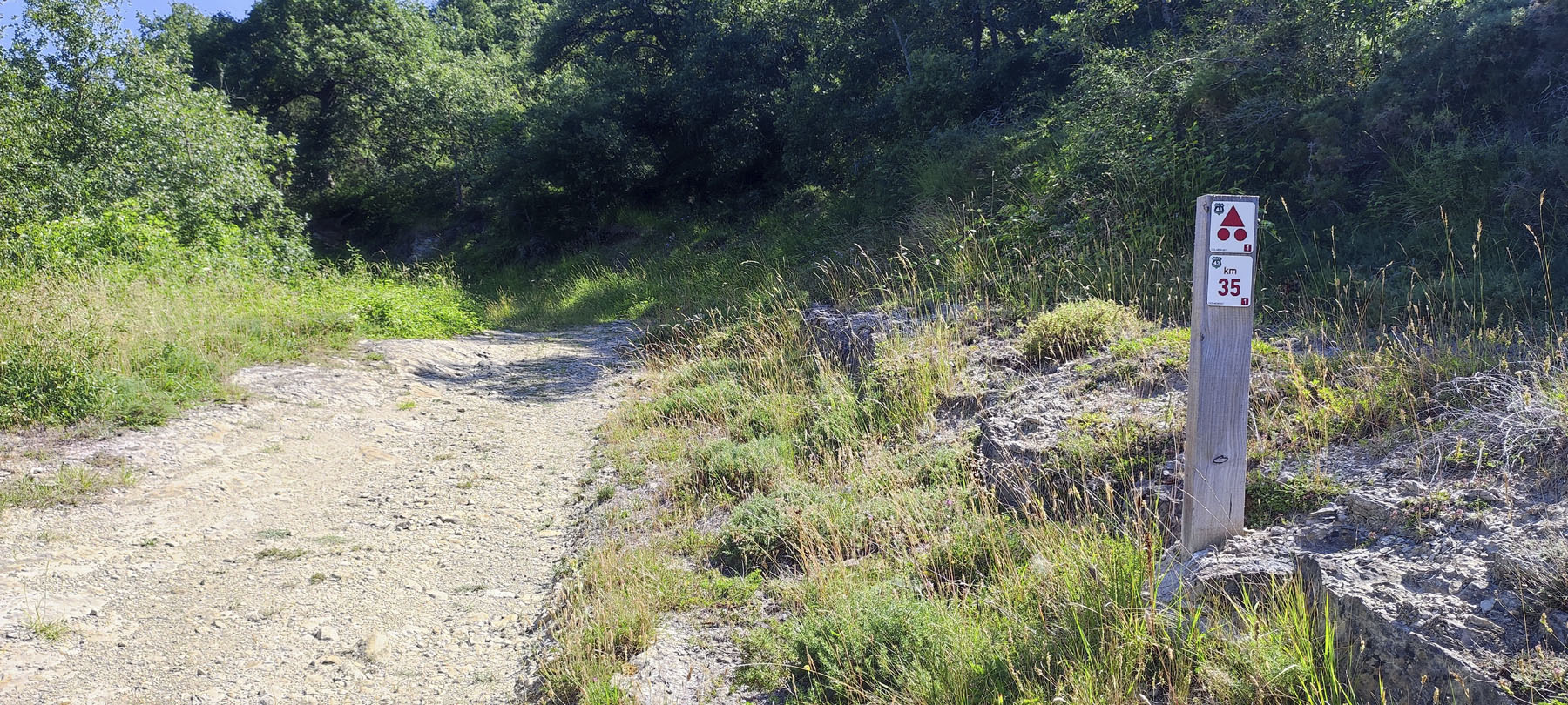 Pedro M. Canive Gutiérrez, Monte Corosuna