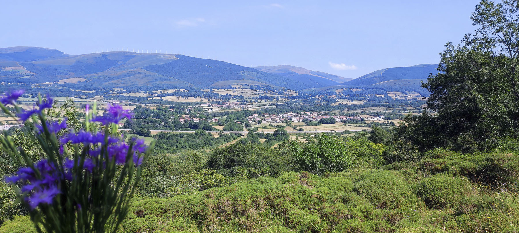 Pedro M. Canive Gutiérrez, Monte Corosuna