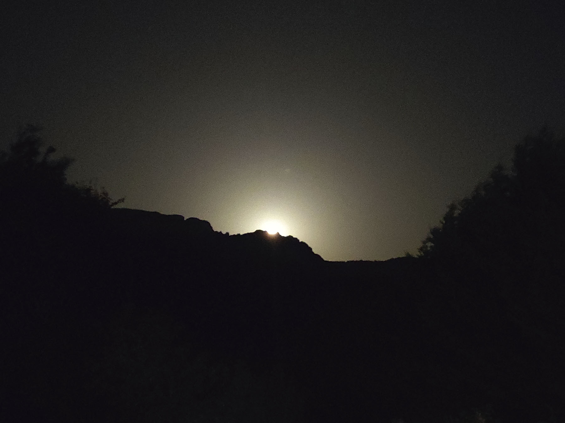 Pedro M. Canive Gutiérrez, Desde Quintanilla Sopeña