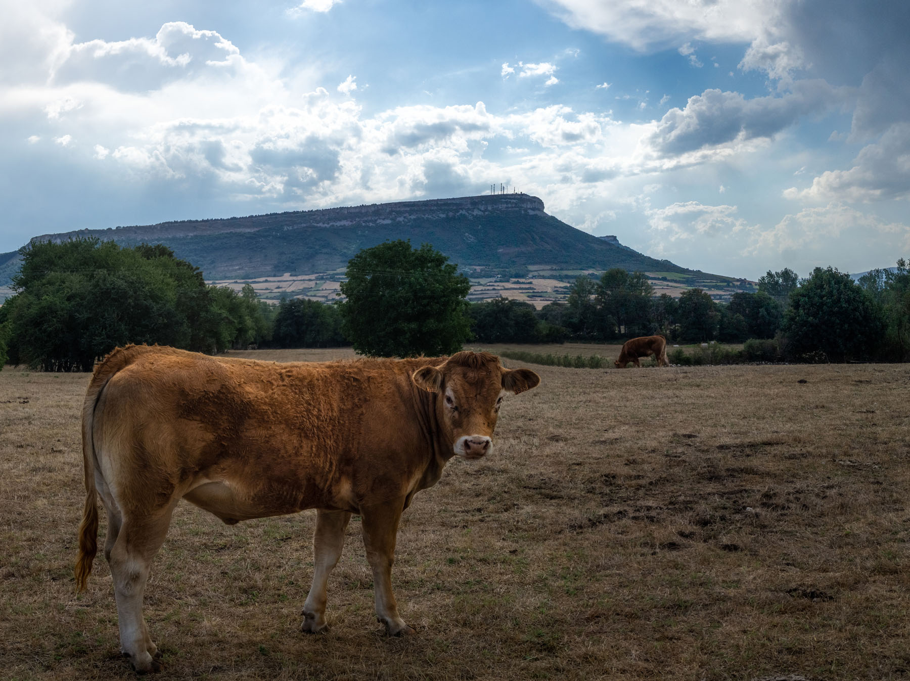 Rubén Monasterio, Loma de Montija