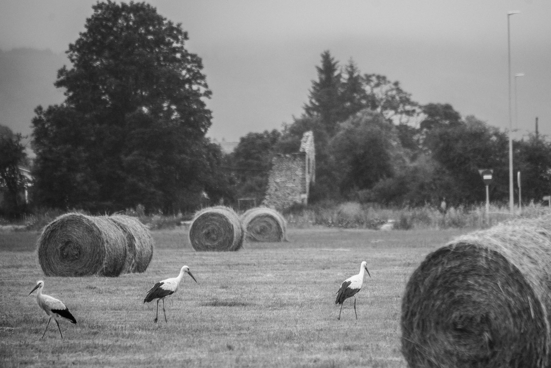 Rubén Monasterio, Villasante