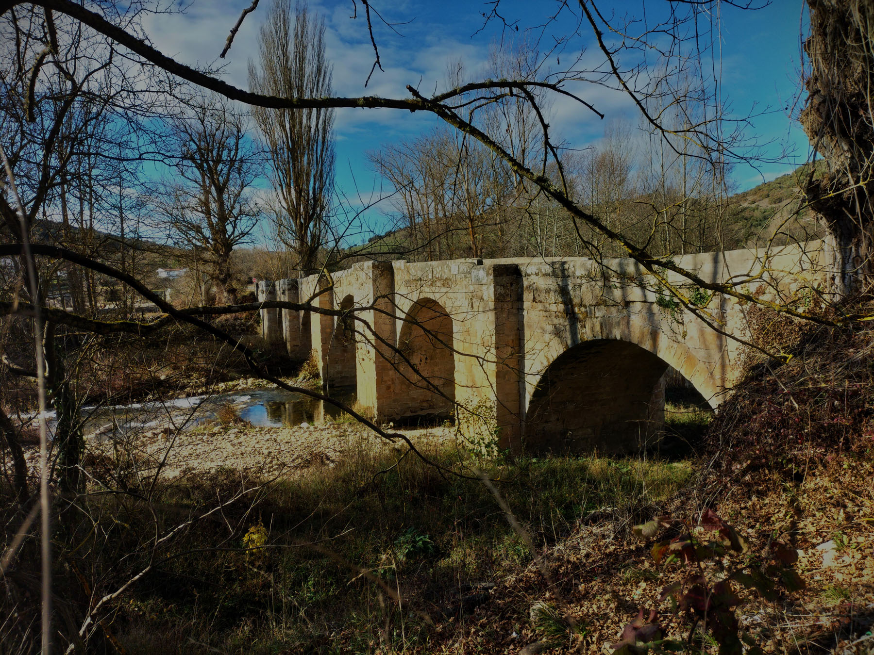Nieves Quintanilla Ruiz, Puente Quintanilla Pienza