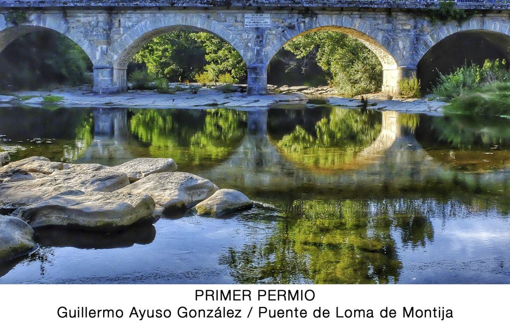 Primer Premio. Guillermo Ayuso González, Puente de Loma de Montija